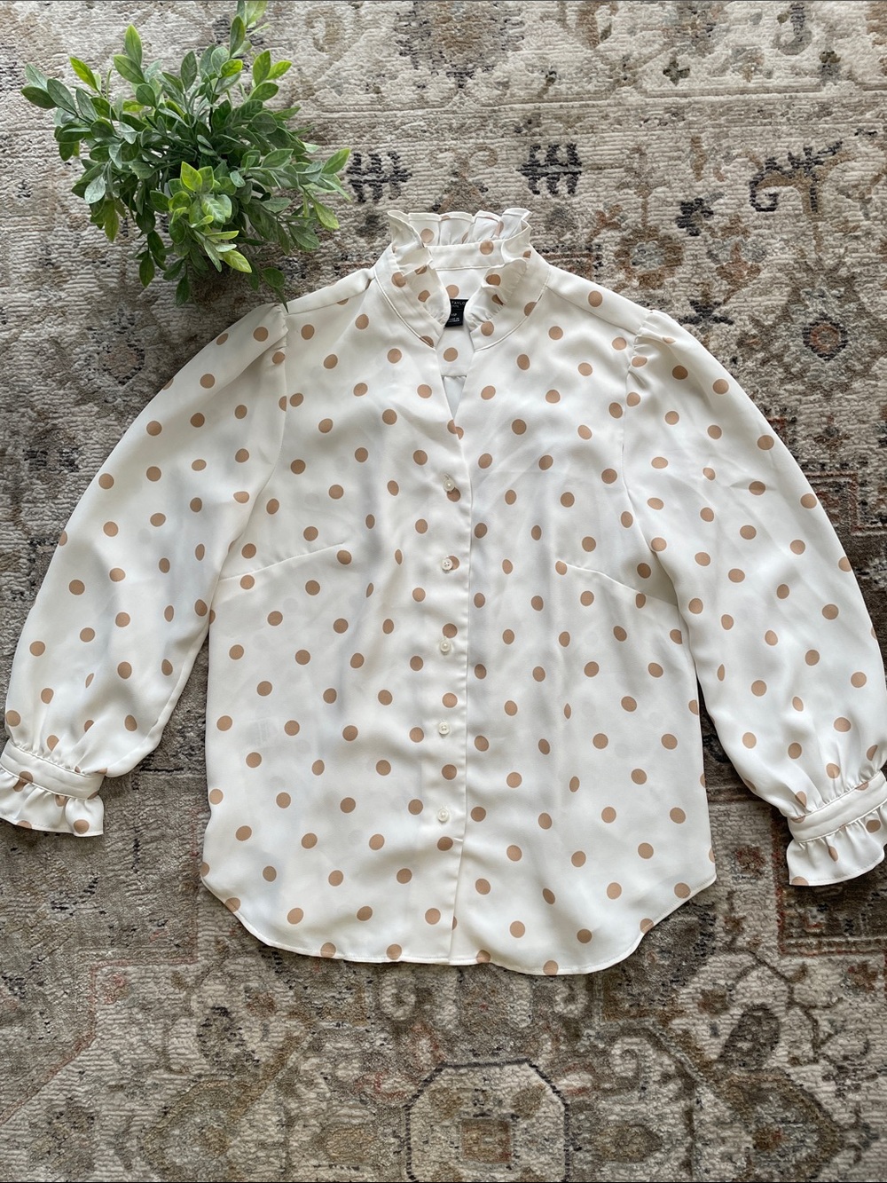 Ann Taylor Petite White Ruffle Collar Polka Dot Blouse - Cream Dots